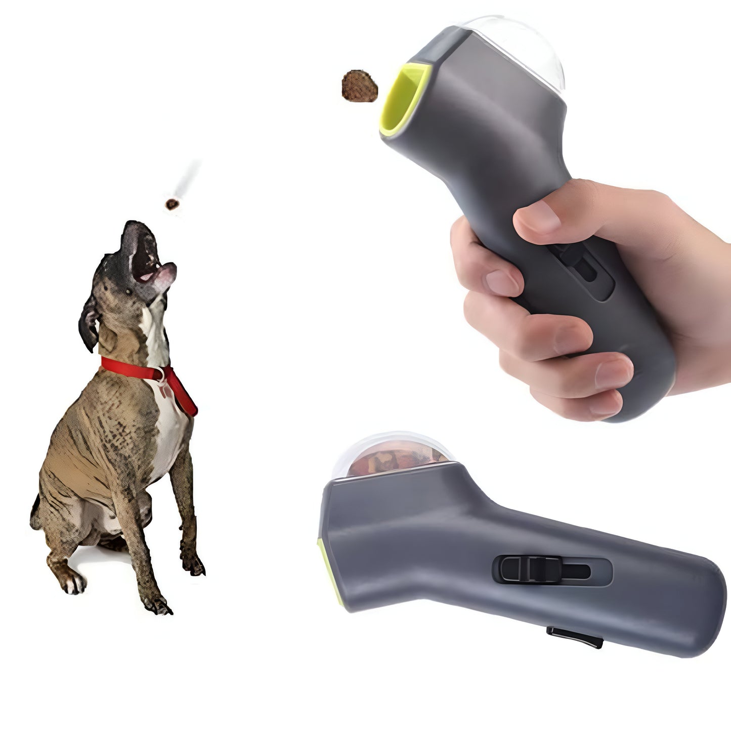 🐾 Pet Treat Launcher