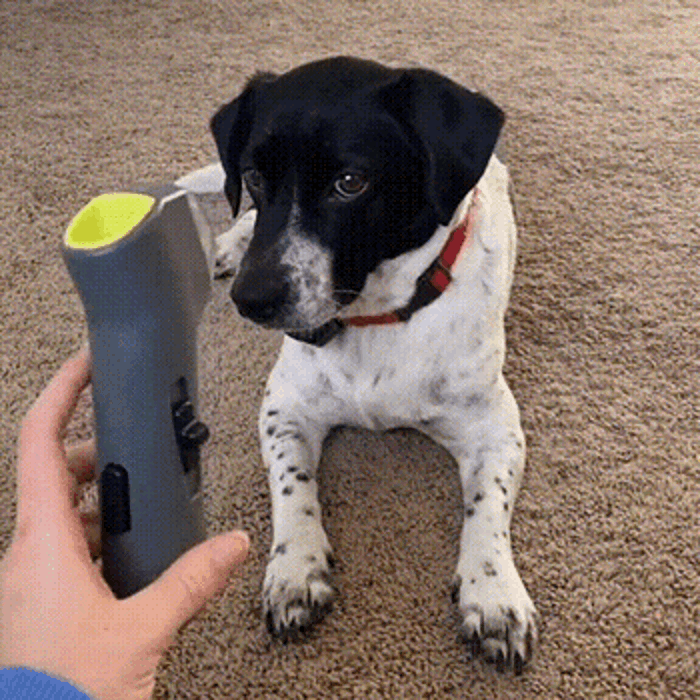 🐾 Pet Treat Launcher