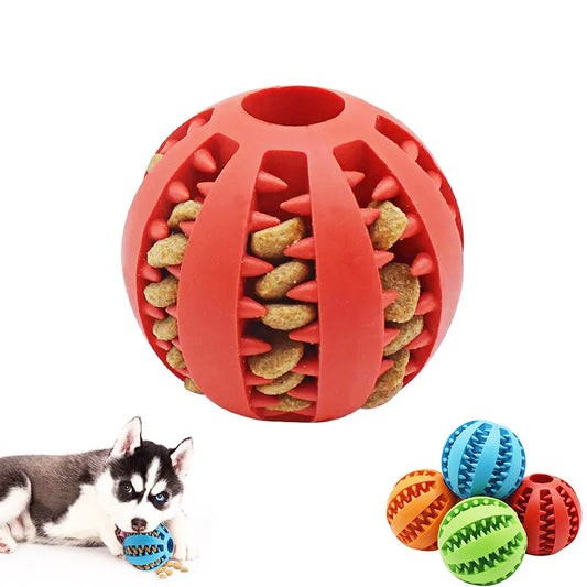 Elastic Chew Toy for Dogs