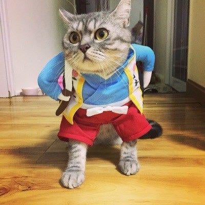 Funny Pets Costum