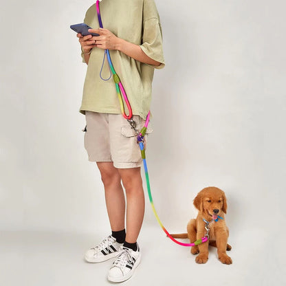 Reflective Hands-Free Nylon Leash for Pets